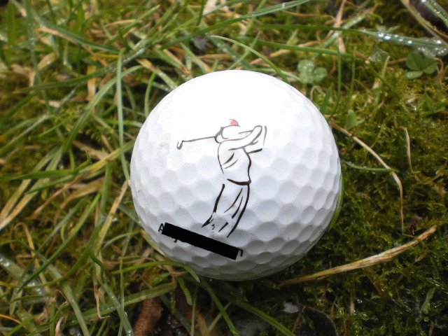 Demian golfbal logo